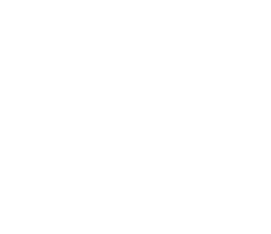 Logo Fibi